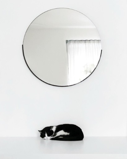 photo of a cute tuxedo cat